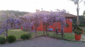 Canto das saracuras